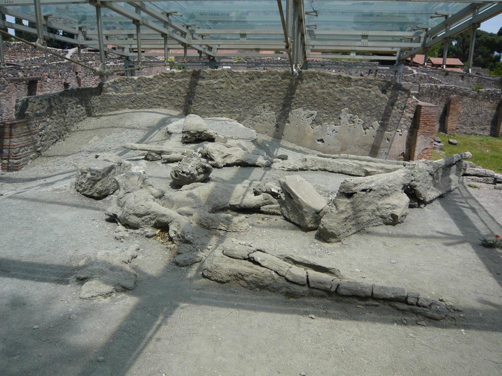 I.22.1 Pompeii. May 2012. Plaster casts of a group of fleeing people, discovered in 1991. Photo courtesy of Buzz Ferebee.
The victims were in two groups victims 70, 71, 72 to the west (front here) and victims 74, 75, 76 to the east (rear here). The head of victim 73 was resting on the legs of victim 74.
Victim 70 (front left in this photo) is an infant of less than 6 years of age. The sex of the victim has not been determined.
The cast, incorporated into the substrate by a restoration operation, seems rather unsuccessful, especially in the lower part resting on the layer of pumice beneath the consolidated ash; The arms and legs are completely missing. This is an infant who had fallen prone.
See Osanna, N., Capurso, A., e Masseroli, S. M., 2021. I Calchi di Pompei da Giuseppe Fiorelli ad oggi: Studi e Ricerche del PAP 46, p. 482-3, Calco n. 70.
Victims 71 and 72 are behind victim 70.
Victim 71 reaching out is now said to be an adult woman over 20 years of age.
There is a clearly visible imprint of clothing, probably a tunic with short sleeves, gathered on the hips and abdomen; on the back, chest, right shoulder and right leg the drapery of the fabric is evident.
See Osanna, N., Capurso, A., e Masseroli, S. M., 2021. I Calchi di Pompei da Giuseppe Fiorelli ad oggi: Studi e Ricerche del PAP 46, p. 484-6, Calco n. 71.
Victim 72 is an adult man over 20 years of age, lying in a supine position, with his head covered by the arm of victim 71.
The imprint of the clothes, a tunic and a cloak, is clearly visible on the chest, stomach and left arm.
See Osanna, N., Capurso, A., e Masseroli, S. M., 2021. I Calchi di Pompei da Giuseppe Fiorelli ad oggi: Studi e Ricerche del PAP 46, p. 487-9, Calco n. 72.
Victims 73 to 78 are behind victim 71 and 72.
Victim 73 is an adult of over 20 years of age, but the sex of the victim has not been established.
When found the victim’s head was resting on the legs of victim 74. The head is now missing.
See Osanna, N., Capurso, A., e Masseroli, S. M., 2021. I Calchi di Pompei da Giuseppe Fiorelli ad oggi: Studi e Ricerche del PAP 46, p. 490-1, Calco n. 73.
Victim 74 was an adult female over 20 years of age.
On the torso, arms and back of the thighs, the imprints of a cloth garment can be seen.
See Osanna, N., Capurso, A., e Masseroli, S. M., 2021. I Calchi di Pompei da Giuseppe Fiorelli ad oggi: Studi e Ricerche del PAP 46, p. 492, Calco n. 74.
Victim 75 was an adult female, probably senile.
A heavy robe, perhaps a cloak, is clearly visible on the victim's torso and legs, above the knees.
See Osanna, N., Capurso, A., e Masseroli, S. M., 2021. I Calchi di Pompei da Giuseppe Fiorelli ad oggi: Studi e Ricerche del PAP 46, p. 494-5, Calco n. 75.
Victim 76 was an adult male over 20 years of age.
On the bust we can distinguish the imprints of the clothes; under the left foot we can see the nails from the sole of a shoe.
See Osanna, N., Capurso, A., e Masseroli, S. M., 2021. I Calchi di Pompei da Giuseppe Fiorelli ad oggi: Studi e Ricerche del PAP 46, p. 496-7, Calco n. 76.
Victim 77 is an adult, probably female, of over 20 years of age.
The presence of brickwork and the casts of large wooden beams indicate that the victims of this group were also caught in the collapse of the structure.
See Osanna, N., Capurso, A., e Masseroli, S. M., 2021. I Calchi di Pompei da Giuseppe Fiorelli ad oggi: Studi e Ricerche del PAP 46, p. 498-9, Calco n. 77.
Victim 78 is an infant of less than 6 years of age.
On the torso and the legs, the imprint of the clothing is barely legible.
See Osanna, N., Capurso, A., e Masseroli, S. M., 2021. I Calchi di Pompei da Giuseppe Fiorelli ad oggi: Studi e Ricerche del PAP 46, p. 500-1, Calco n. 78.
According to Nappo, in addition to the ten victims were found the roof beams of the room which were also cast: the beams with a diameter varying between 10 and 15 cm.
See Nappo, S. C., 1992. Il rinvenimento delle vittime dell'eruzione del 79 d.C. nella Regio I Insula 22 a Pompei. Hyria, p. 16-18.