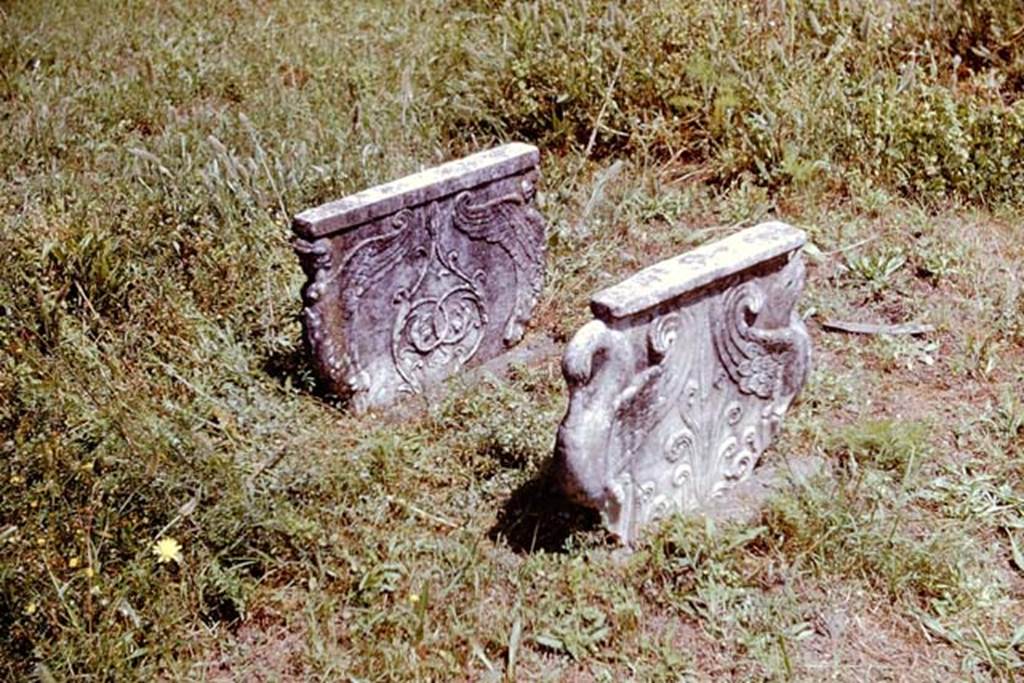 II.2.2 Pompeii. 1961.Marble table supports, photographed in the garden area.   
Photo by Stanley A. Jashemski.
Source: The Wilhelmina and Stanley A. Jashemski archive in the University of Maryland Library, Special Collections (See collection page) and made available under the Creative Commons Attribution-Non Commercial License v.4. See Licence and use details. J61f0403  
