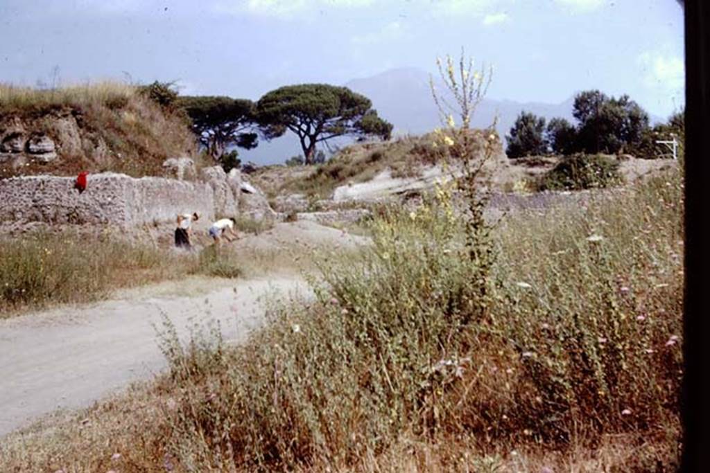 II.5 Pompeii. 1966. Looking north towards the east wall of the unexcavated structure in north-west corner. Wilhelminas first complete row of small root cavities were found along this east wall. Photo by Stanley A. Jashemski.
Source: The Wilhelmina and Stanley A. Jashemski archive in the University of Maryland Library, Special Collections (See collection page) and made available under the Creative Commons Attribution-Non Commercial License v.4. See Licence and use details.
J66f0405
