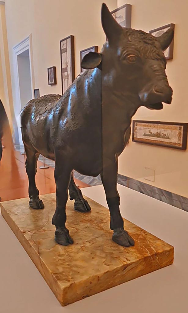 V.1.7 Pompeii, October 2023. 
Bronze bull from north side of impluvium in atrium. Photo courtesy of Giuseppe Ciaramella. 
On display in “L’altra MANN” exhibition, October 2023, in Naples Archaeological Museum, inv. 4890.


