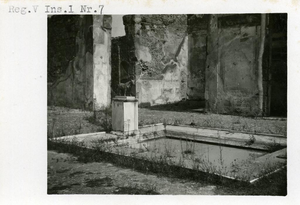 V.1.7 Pompeii. Pre-1937-39. Looking north-east across impluvium in atrium with bronze bull on pedestal.
Photo courtesy of American Academy in Rome, Photographic Archive. Warsher collection no. 1844.


