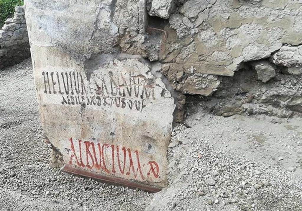 V.7.8 Pompeii. June 2018. Electoral inscriptions on outside wall of house. Vicolo delle Nozze dArgento at north-west corner of junction with Vicolo c.d. dei Balconi.
These electoral inscriptions were HELVIVM SABINVM AEDILEM D R P U B O V F and ALBVCIVM AED. 

The upper inscription reads 
Helvium Sabinum
aedilem d{ignum) r{ei) p{ublicae) v{irum) b{onum) o{ro) v{os) f(aciatis)

Please elect Helvius Sabinus aedile, worthy of office and a good man.

Photograph  Parco Archeologico di Pompei.
