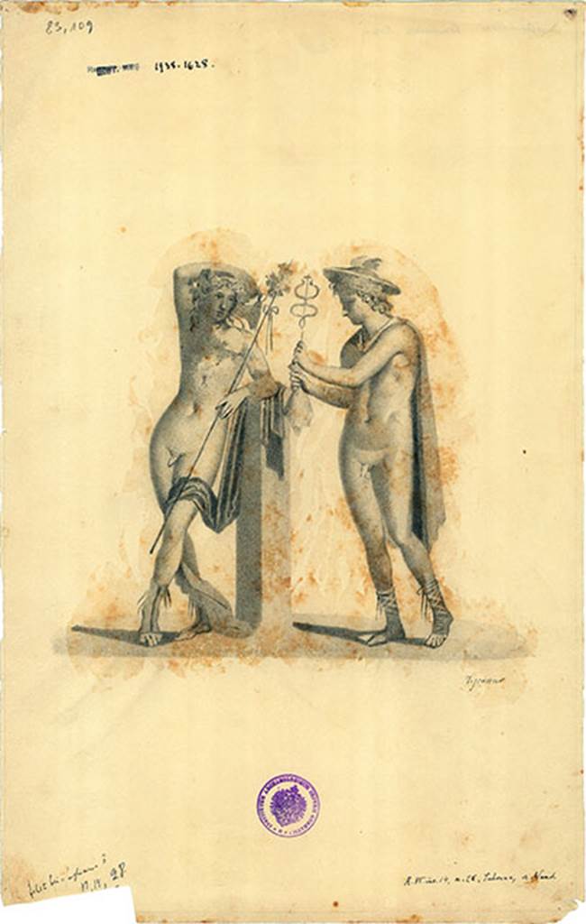 VI.14.28 Pompeii. Drawing by G. Discanno of painting of Mercury and Bacchus from north wall.
DAIR 83.109. Photo © Deutsches Archäologisches Institut, Abteilung Rom, Arkiv. 
According to Kuivalainen, this is a composition of two almost frontal figures. 
On the left stands a youth with his weight on his right foot, leaning idly on a low pillar with his left arm holding a thyrsus; he has green boots and wears a violet cloak falling from the pillar over his left thigh to the ground; his right arm is resting on his head, which is in ¾ profile, and his long curls are adorned with a vine wreath; he is looking at his companion. 
On his right stands the other youth with his weight on his right foot; he wears reddish boots and a green short cloak, and points towards his companion with both his hands, one holding a purse, the other a caduceus; his head is almost in profile, and he looks at his hands; his hair is curly, and he wears a petasus with wings.
Comments: This is the usual couple of a half-naked young Bacchus and Mercury decorating the right side wall of a taberna, which is clearly visible from the street through a wide opening………..
See Kuivalainen, I., 2021. The Portrayal of Pompeian Bacchus. Commentationes Humanarum Litterarum 140. Helsinki: Finnish Society of Sciences and Letters, p. 177, F23.


