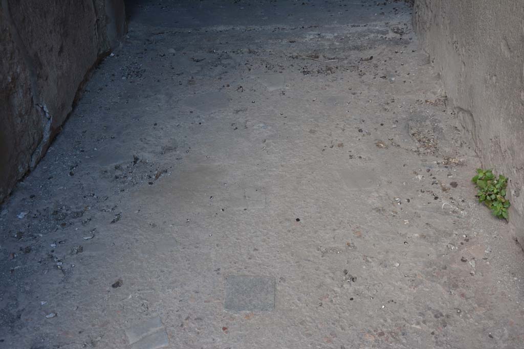 VI.15.9 Pompeii. July 2017. Looking west towards flooring in entrance corridor.
Foto Annette Haug, ERC Grant 681269 DCOR.


