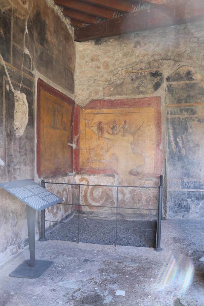 VI.16.7 Pompeii. December 2018. 
Room F, looking south from east portico towards lararium in south-east corner of peristyle. 
The shrine was dedicated to the cult of the Egyptian deities. 
On one wall are paintings of objects of the cult of Isis including a sistrum (rattle) and a cobra.
On the other wall is Isis in the centre wearing a red and black sash and holding a sistrum.  
Anubis is dressed in red. A small figure between Isis and Anubis is possibly Harpocrates.  
Serapis or Osiris is dressed in white with the horn of plenty in his left hand and a sistrum in his right.  
At the bottom of each wall is a snake approaching a central round altar.
Photo courtesy of Aude Durand.

