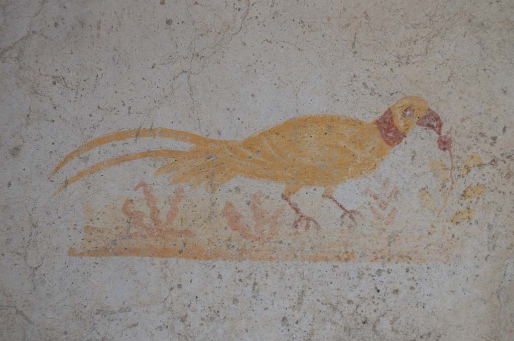 VI.16.33 Pompeii. March 2018. Painting of a bird from west end of north wall of bar-room.
Foto Taylor Lauritsen, ERC Grant 681269 DCOR.
