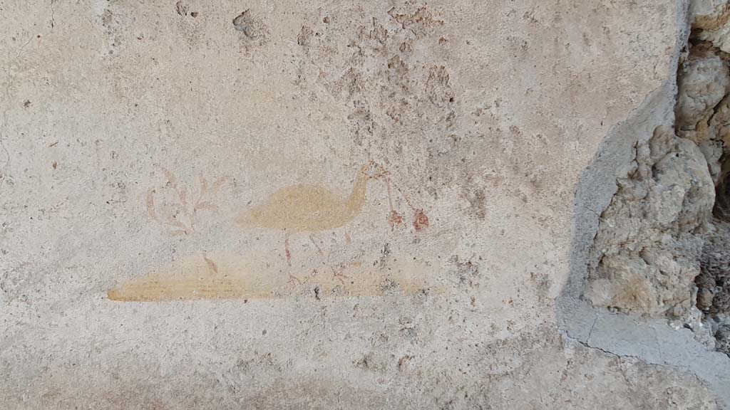 VI.16.33 Pompeii. July 2021. Detail of a second painted bird on centre of north wall of bar-room.
Foto Annette Haug, ERC Grant 681269 DCOR.
