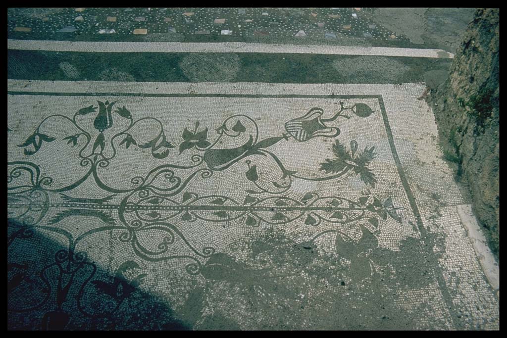 VII.16.13 Pompeii. Entrance mosaic. Photographed 1970-79 by Günther Einhorn, picture courtesy of his son Ralf Einhorn.