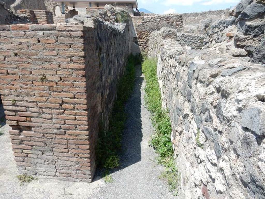 VIII.2.3 Pompeii. May 2018. Passageway leading north from north-east corner of peristyle. Photo courtesy of Buzz Ferebee.

