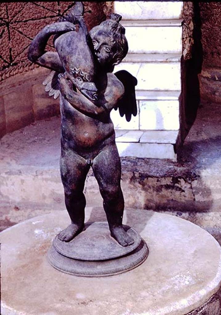 IX.7.20 Pompeii. 1961. 
Bronze statuette of a cupid holding a dolphin (0.56m high) shown in the photo on display in the fountain at VI.8.22. 
Now in Naples Archaeological Museum, inventory number 111701. Ruesch no 818.
Photo by Stanley A. Jashemski.
Source: The Wilhelmina and Stanley A. Jashemski archive in the University of Maryland Library, Special Collections (See collection page) and made available under the Creative Commons Attribution-Non-Commercial License v.4. See Licence and use details.
J61f0719
According to Wilhelmina, this bronze statuette is a replica of one found in the garden of IX.7.20. 
It was found on a base adjacent to a round marble basin, near the atrium and north-west corner of the peristyle.
It was one of the finest found in the Vesuvian area. 
See Jashemski, W. F., 1993. The Gardens of Pompeii, Volume II: Appendices. New York: Caratzas. (p.135 and p.240).
See Dwyer, E.J. (1982). Pompeian domestic sculpture. Rome, Bretschneider, (p.76, and Pl.XXX, fig. 114).

