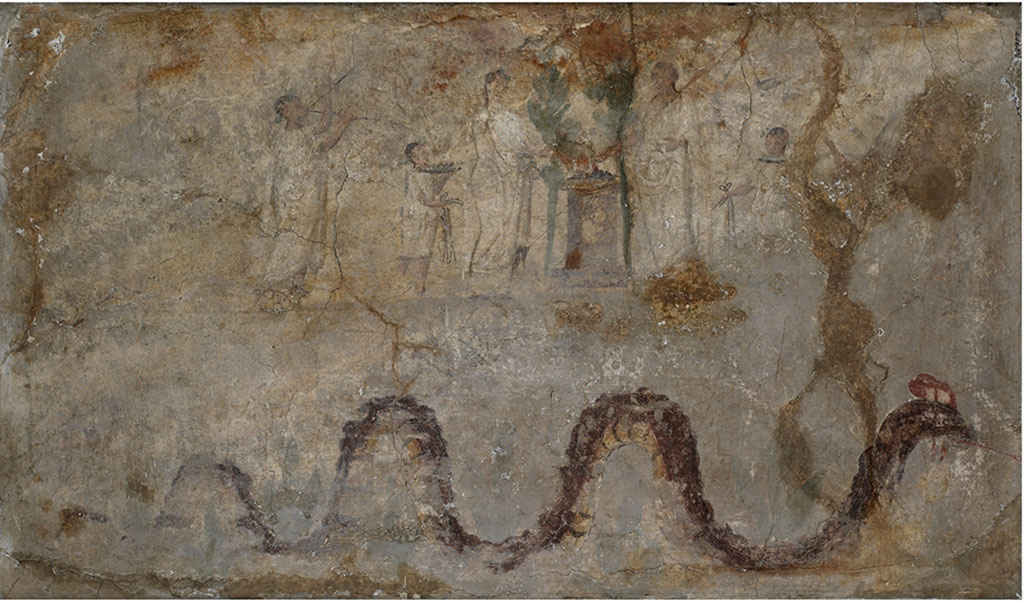 Boscoreale, Villa Rustica in propriet Cirillo. Lararium with sacrificial scene and serpent, found in the north wing of Portico B.
Now in Field Museum Chicago, inventory number 24658.
Photograph John Weinstein  Field Museum of Natural History - CC BY-NC.
According to Cou 
In the centre of the lararium painting is an altar of dark red marble, with a moulded base and wide cornice, on the upper surface a red fire burns with a whitish smoke.
Close to the altar on either side is a small green tree.
On the right of the altar is a tall figure clad in a toga, extending his right hand over the fire. On his short dark brown hair there are traces of a green wreath.
Next to him on the right is a boy, turned slightly to the left, wearing a whitish tunic extending as far as the knees.
In his left hand, but hardly visible due to repairs, he held a dark brown platter, on which is an unrecognisable substance.
He also had short dark brown hair, with traces of a green wreath.
On the extreme right there are slight remains of a larger figure, doubtless male, walking to left.
On the left of the altar stands a figure with wide hips and of stature somewhat inferior to that of the man opposite. 
It is clad in a whitish upper garment and what seems to be a yellowish under-garment or tunic. The brown feet are turned to the right, and it cannot be seen if they are shod. The left hand is extended over the altar. The head, which is partly turned to the left, is crowned with rather plentiful dark brown hair. There are very faint traces of a green wreath. The face is considerably lighter coloured than that of the man. Wide brown lines are used to indicate contours as well as the folds of the upper garment. The figure doubtless represents a woman.
Close to her on the left is a boy wearing a tunic which reaches about to the knees. The legs below the garment are sketchily drawn and poorly preserved, and the feet are scarcely distinguishable. The left arm supports a large dark brown platter on which there are some objects of uncertain character, chiefly of brownish colour. 
About the boy's dark brown hair there are traces of a green wreath. His face, which is almost in profile, is similar in colour to that of the woman. Eye, nose and mouth are still visible.
On the left of this figure there follows, after a certain interspace, a youth who is playing the double flutes. 
He is clad in a single whitish garment which reaches from the neck to the ankle. The pipes on which he is playing are dark brown in colour. 
The musician's rather long head is covered with scanty brown hair, about which there are traces of a wide green wreath. 
He has a slanting forehead, thick lips and a retreating chin. Eye, nose and mouth are preserved.

The lower part of the painting shows a large crested serpent moving to the right.
His back is brownish-red. His underside is yellow with dark red stripes as far as the neck, which with the greater part of the head is brownish-red.
The crest, with the exception of two large white spots, is of a bright red colour.
From the mouth which is slightly open, the bright red tongue darts obliquely downwards.
Above and below the serpent there are traces of a large green plant, in shape something like a fleur-de-lis.

Height, m. 0.65 ( = 2 ft. 1.59 in.). Width, m. 1.118 (=3 ft. 8.01 in.).
Restoration of plaster in corners and on right side, especially between main scene and serpent. 
There are cracks in every part, particularly around the edges.
The background is now mostly of a whitish colour, streaked and blotched in many places, especially in the upper part, to yellow and brown. 
The garments are of substantially the same colour as the background, but are distinguished from it by their outlines. 
Nearly all the lower part and most of the right end after the camillus form a large corner of somewhat darker color (except where restored), as though
smoked.
See Cou, H.F., 1912. Antiquities from Boscoreale in the Field Museum of Natural History, Chicago. P. 171-3, Plate CXXIII.
