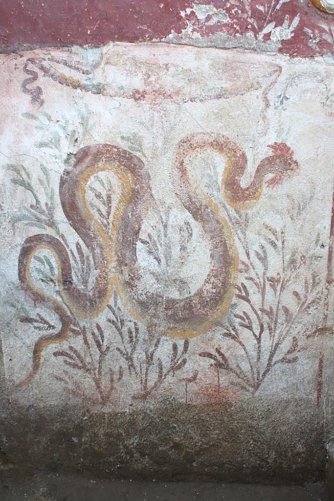 IX.10.1 Pompeii. Lararium and altar recently found in room 12.
Snake in the lower register.
On the left side there is a fresco of a crested and bearded serpent heading towards the altar.
Serpente nel registro inferiore.
Sulla sinistra è affrescato un serpente crestato e barbato che si dirige verso l’altare.
See PAP e-journal 6, 28.09.2023, p. 65, fig. 12. Download: PAP e-journals 2023 collection volumes 01-09 
Photograph © Parco Archeologico di Pompei.
