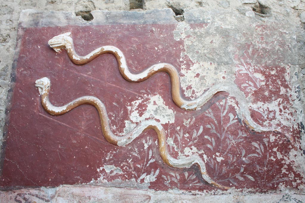 IX.10.1 Pompeii. Lararium and altar recently found in room 12.
Stucco snakes from the upper register.
The upper register consists of a red background (1.30 x 2.10 m) surrounded by brown, in which two crested and bearded snakes are represented in stucco relief, among shrubs.
Serpenti in stucco dal registro superiore.
Il registro superiore è costituito da una specchiatura a fondo rosso (1,30 x 2,10 m) contornata di bruno, in cui sono rappresentati in rilievo di stucco due serpenti crestati e barbati, tra arbusti.
See PAP e-journal 6, 28.09.2023, p. 65, fig. 15. Download: PAP e-journals 2023 collection volumes 01-09 
Photograph © Parco Archeologico di Pompei.
