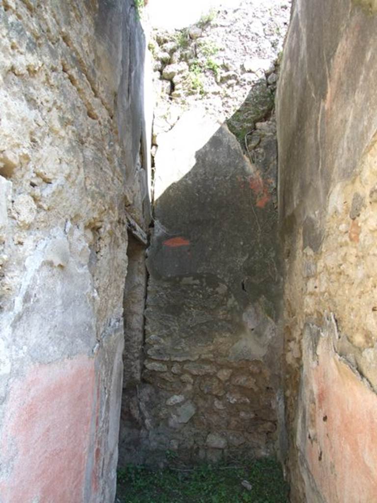 VII.3.29 Pompeii. March 2009. Room 12, corridor. Looking east. On the east side of the corridor was the garden area. According to Boyce, in the south-west corner of the portico of the garden was a semi-circular niche. Its vaulted ceiling was adorned with a painted shell. Painted on the wall above the niche was a pediment and below it a single serpent beside an altar. 
See Boyce G. K., 1937. Corpus of the Lararia of Pompeii. Rome: MAAR 14. (p.65, no: 270, Pl.4,1) 
