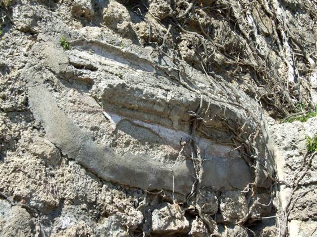 I.3.29 Pompeii. March 2009. Room 4. remains of stucco cornice decoration on north wall.