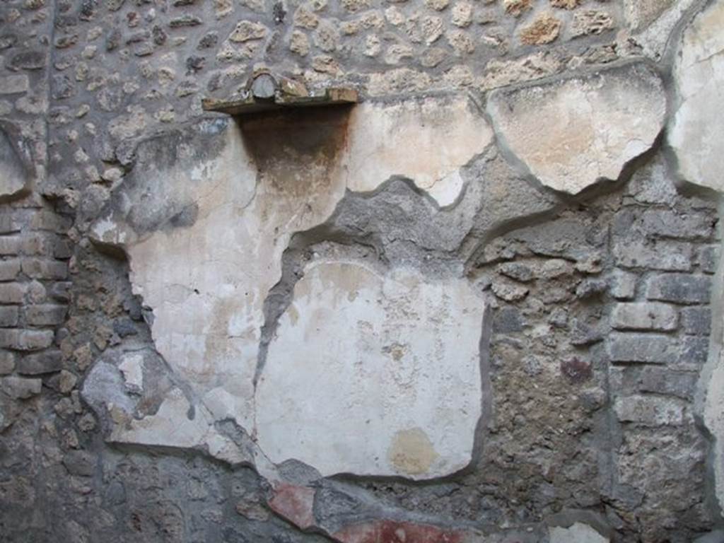 I.4.25 Pompeii. December 2007. 
Room 50, north wall painted with a red zoccolo (with painted plants), a white middle area with a central painting of Satyr and Maenad.
