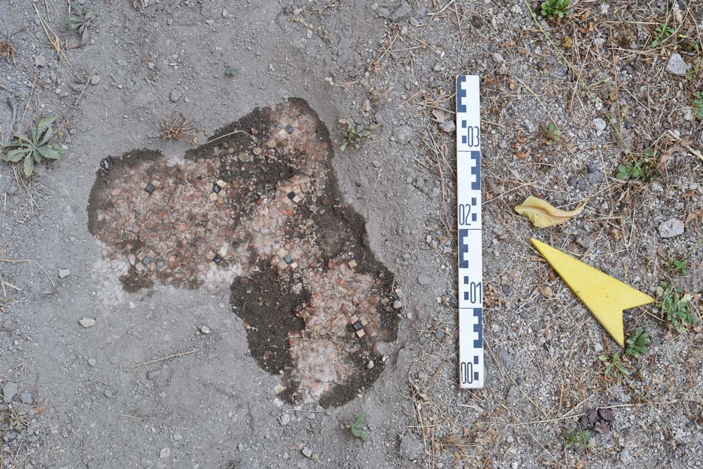 I.4.25 Pompeii. September 2020. Room 52, detail of flooring near north wall. 
Foto Tobias Busen, ERC Grant 681269 DCOR


