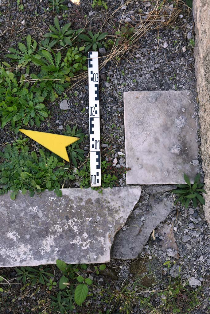 I.4.25/1.4.5 Pompeii. October 2019. 
Tablinum 14, threshold of doorway from south side of east end, near doorway to room 36.
Foto Tobias Busen, ERC Grant 681269 DCOR.
