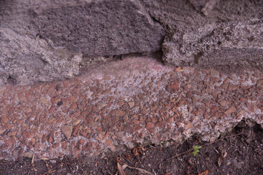 I.4.25 Pompeii. September 2020. Upper Peristyle 56, detail from base of south wall in north-west corner.
Foto Tobias Busen, ERC Grant 681269 DCOR.

