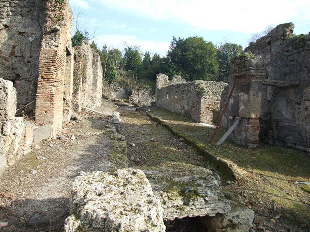 I.2 Pompeii. December 2006. Stone bridge over Vicolo del Conciapelle looking east, I.5.1 on right. 