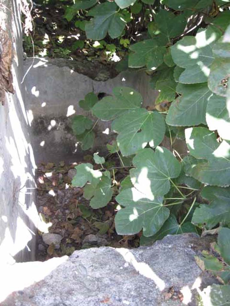 I.5.2 Pompeii. September 2010. Water tank feature (visible on the south side of wall, in photo above, under fig tree). Looking east . Photo courtesy of Drew Baker.