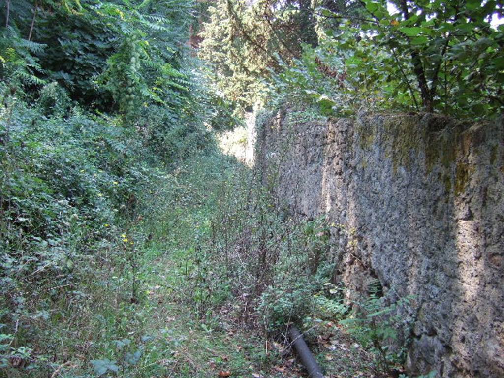 Vicolo on south side of I.5,  looking west. September 2005.



