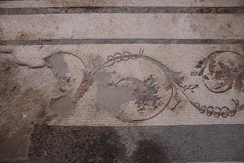 I.6.4 Pompeii. October 2024. Triclinium 11, detail of border edge around mosaic floor. Photo courtesy of Klaus Heese.