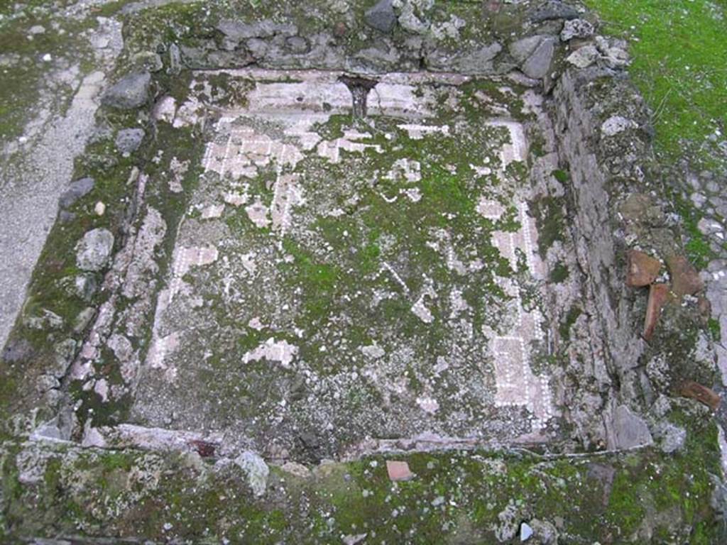 I.6.9 Pompeii. October 2004. Impluvium base, looking south. Photo courtesy of Nicolas Monteix.
According to PPM the impluvium had a base of cocciopesto decorated in white tesserae. 
A network of diamond shapes enclosed by a double border with meanders and squares.
See Carratelli, G. P., 1990-2003. Pompei: Pitture e Mosaici. Vol. 1. Roma: Istituto della enciclopedia italiana, p. 353.
