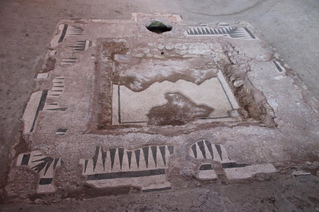 I.9.14 Pompeii. October 2022. Room 8, looking north across impluvium in atrium. Photo courtesy of Klaus Heese.