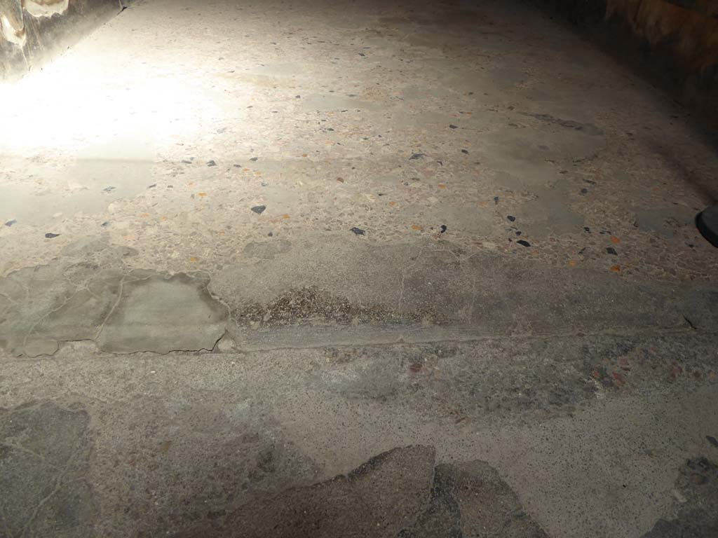 I.10.4 Pompeii. September 2018. Room 4, detail of flooring and threshold of doorway.  
Foto Annette Haug, ERC Grant 681269 DÉCOR.

