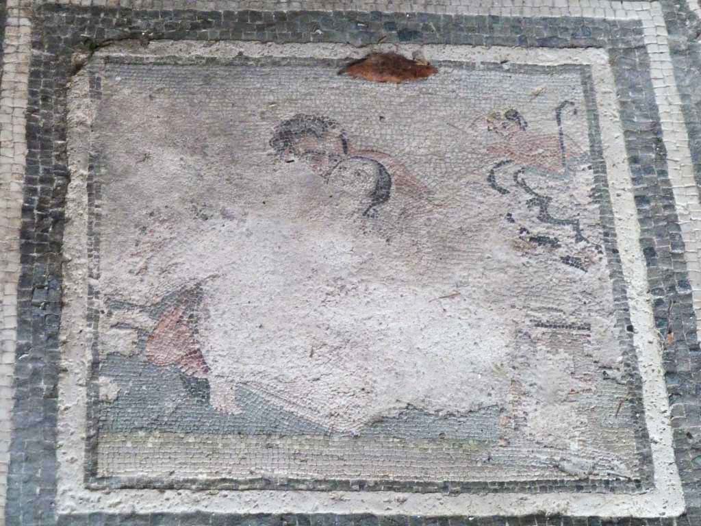 I.10.4 Pompeii. May 2010. Room 21, detail from mosaic of satyr and maenad.