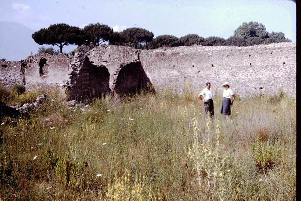 I.20.5 Pompeii. 1964. Looking south-west across garden area   Photo by Stanley A. Jashemski.
Source: The Wilhelmina and Stanley A. Jashemski archive in the University of Maryland Library, Special Collections (See collection page) and made available under the Creative Commons Attribution-Non Commercial License v.4. See Licence and use details.
J64f1895
