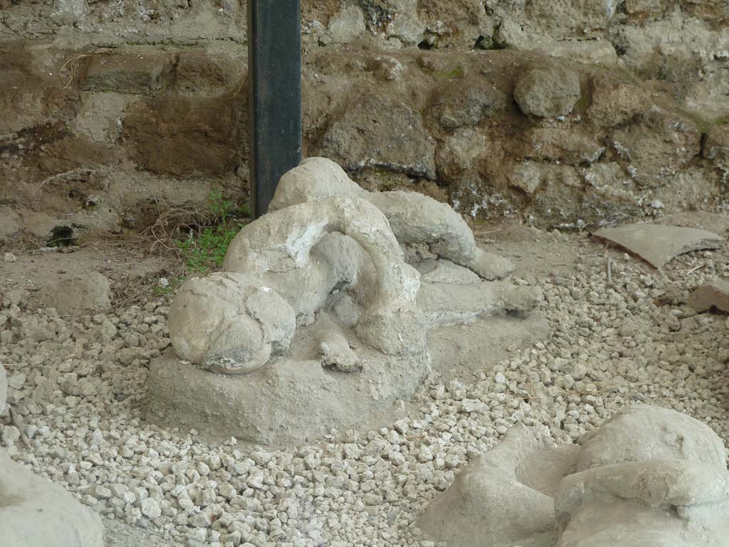 I.21.6 Pompeii. May 2010. Detail of a plaster cast of victim 36.