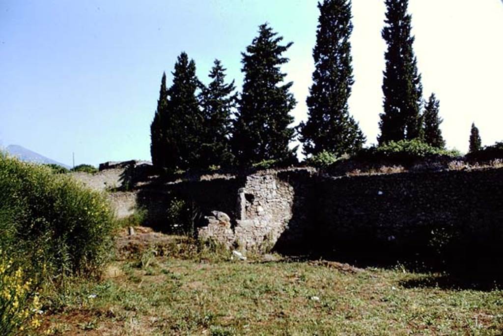 II.1.8 Pompeii. 1966. Looking north-east across garden, see also II.1.9. Photo by Stanley A. Jashemski.
Source: The Wilhelmina and Stanley A. Jashemski archive in the University of Maryland Library, Special Collections (See collection page) and made available under the Creative Commons Attribution-Non Commercial License v.4. See Licence and use details.
J66f0181
