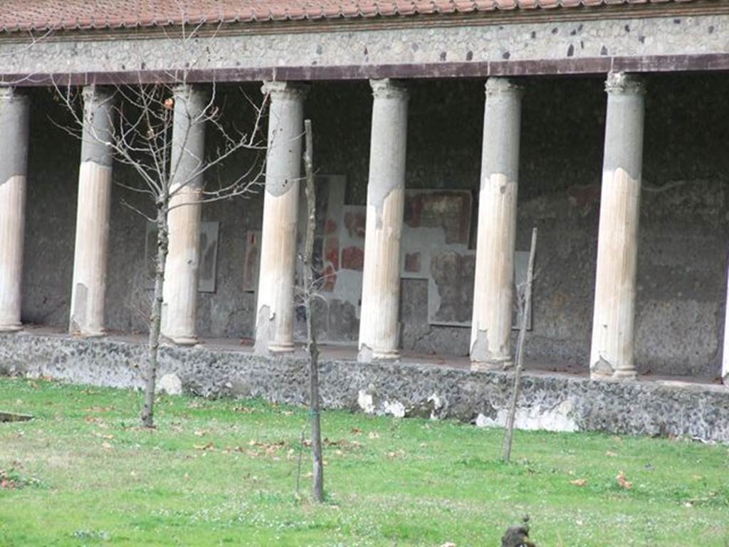 II.7.5 Pompeii. Palaestra. December 2006. Looking towards north portico with remains of wall paintings.