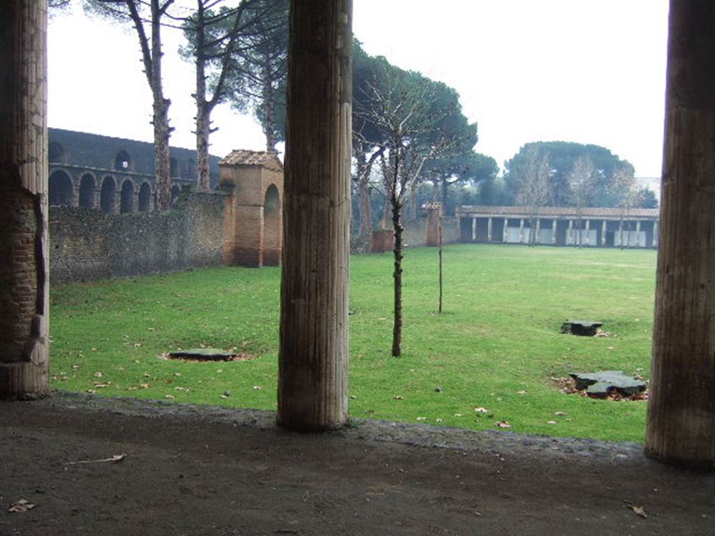 II.7.5 Pompeii. December 2005. Looking south across plaster casts of ancient plane tree roots. 
At the time of the AD79 eruption the double row of plane trees were almost 100 years old.
According to Maiuri –
“Completely essential to the life and function of the Palestra were the trees. 
Cavities of large roots and remains in the ash bank of logs and branches, were not only noticed in the work of excavation of the earth and clean-up of the area of the amphitheater piazza, but they were also along the large avenue that runs outside the northern side of the building, and what is more important, in the inner area of the Palestra.”
See Notizie degli Scavi, 1939, (p.193)
