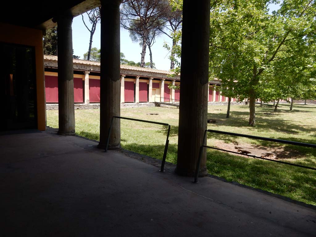 II.7 Pompeii. June 2019. Looking north-east from north end of west side, with plaster-cast of tree roots, on right in grass.
Photo courtesy of Buzz Ferebee.
According to Jashemski –
Maiuri found the huge root cavities of two rows of trees that had been planted approximately eight metres apart around the edges of the large enclosed area on the north, west and south. Casts were made of these cavities. The size and shape of the cavities indicated to the excavators that the trees had been plane trees, only a little less than one hundred years old.
See Jashemski, W. F., 1993. The Gardens of Pompeii, Volume II: Appendices. New York: Caratzas. (p.92). 
