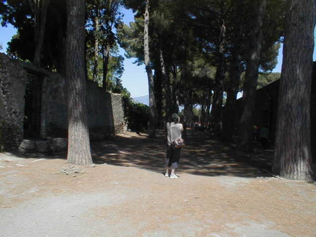 II.7.7 Pompeii. Palaestra. May 2005. Looking east along Via di Castricio between II.2 and II.7.7.