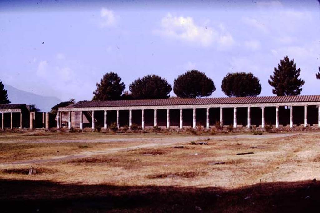 Palaestra Pompeii. 1970. Looking across casts of tree-roots towards north-west side.  Photo by Stanley A. Jashemski.
Source: The Wilhelmina and Stanley A. Jashemski archive in the University of Maryland Library, Special Collections (See collection page) and made available under the Creative Commons Attribution-Non-Commercial License v.4. See Licence and use details.
J70f0717


