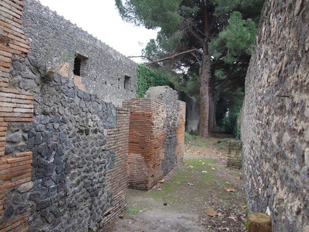 II.7.9a Pompeii, Palaestra, on left. December 2006. Looking south along rear wall of II.8.6, on right.
According to CTP 
This was the door leading to the rooms for the doorkeeper/porter (ostiarius) and although originally was not numbered, now known as II.7.9a.
In the recent past, the Vicolo between II.7 and II.8 had been blocked up at the northern extremity.
The south side of the Vicolo was closed by a wall before reaching doorway at II.7.10.
At least 10 bombs fell inside and outside the Palestra during September 1943, but luckily damage was slight.
See Van der Poel, H. B., 1986. Corpus Topographicum Pompeianum, Part IIIA. Austin: University of Texas. (p.54)

