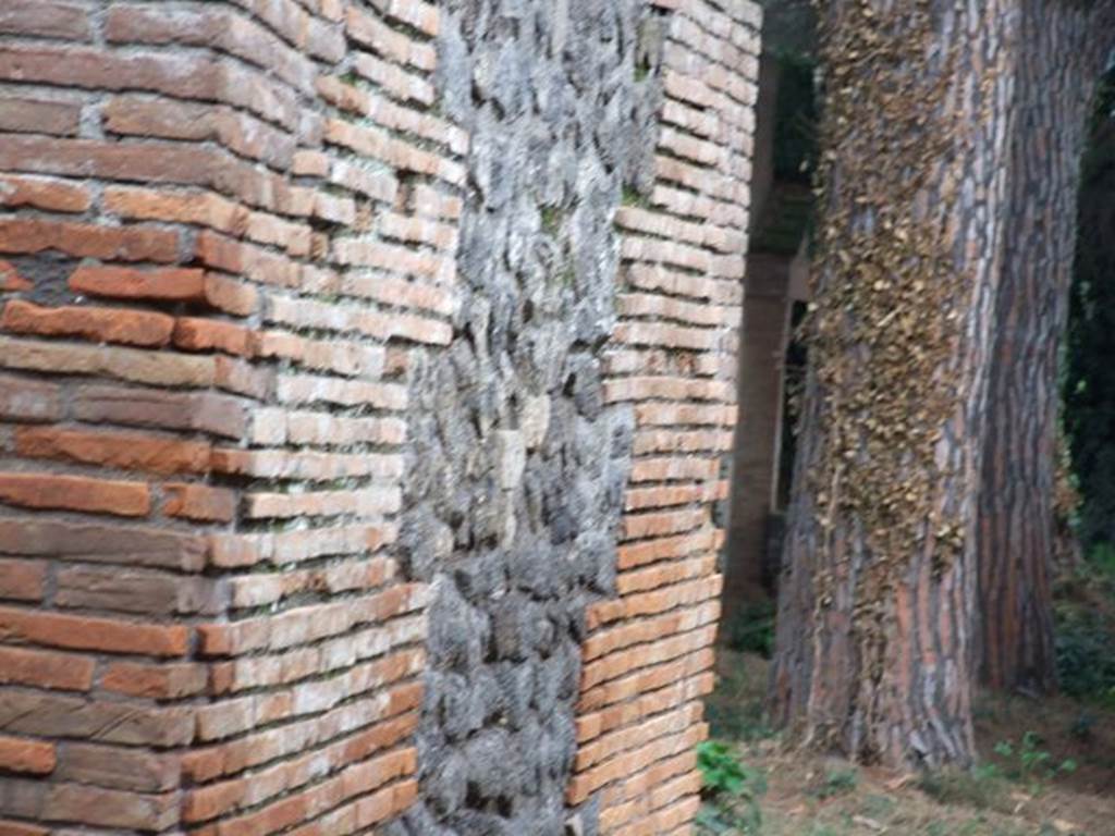 II.7.10 Pompeii. Palaestra. December 2006. Looking from II.7.9a at II.7.10 which is behind trees.