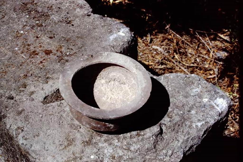 II.8.1 Pompeii. 1972. Bowl found in garden. Photo by Stanley A. Jashemski. 
Source: The Wilhelmina and Stanley A. Jashemski archive in the University of Maryland Library, Special Collections (See collection page) and made available under the Creative Commons Attribution-Non Commercial License v.4. See Licence and use details. J72f0722
