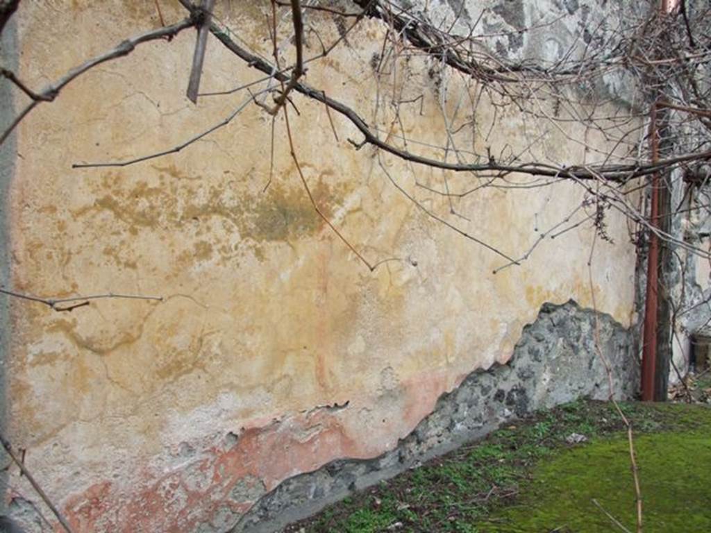 II.8.2.  Thermopolium.  December 2007.  Painted wall plaster on north wall behind triclinium.