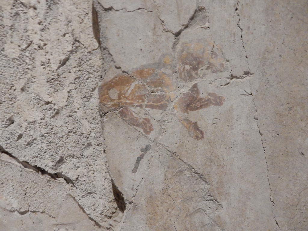 II.9.4 Pompeii. May 2018. 
Room 4, detail of remains of decoration (lion?) from middle of central panel on south wall. Photo courtesy of Buzz Ferebee. 
