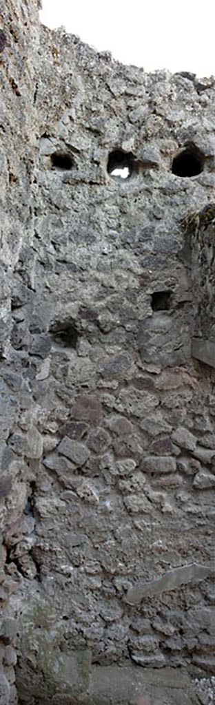 V.1.3 Pompeii. c.2008-10. 
Room “c”, north wall of latrine. Photo by Hans Thorwid.
Photo courtesy of the Swedish Pompeii Project. 
