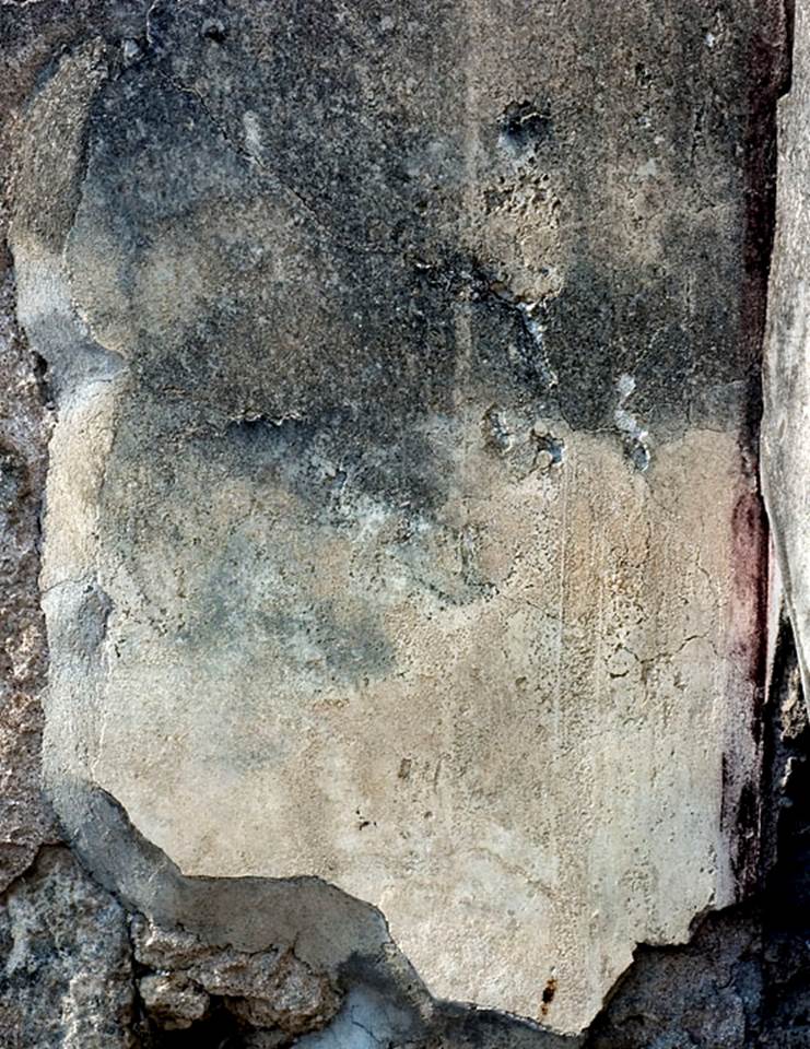 V.1.15 Pompeii. c.2006?  
Detail of plaster with traces of remaining decoration on north wall of cubiculum. Photo by Hans Thorwid. 
Photo courtesy of the Swedish Pompeii Project.
