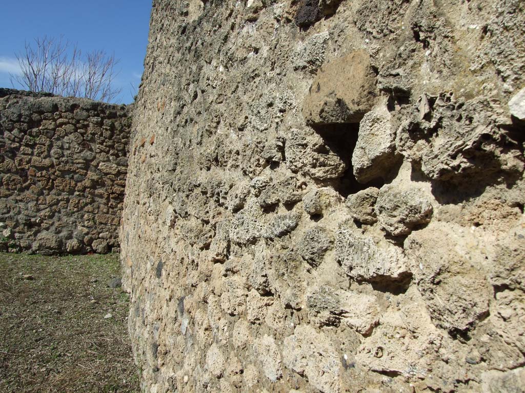 V.3.8 Pompeii. March 2009. East wall in garden (b).