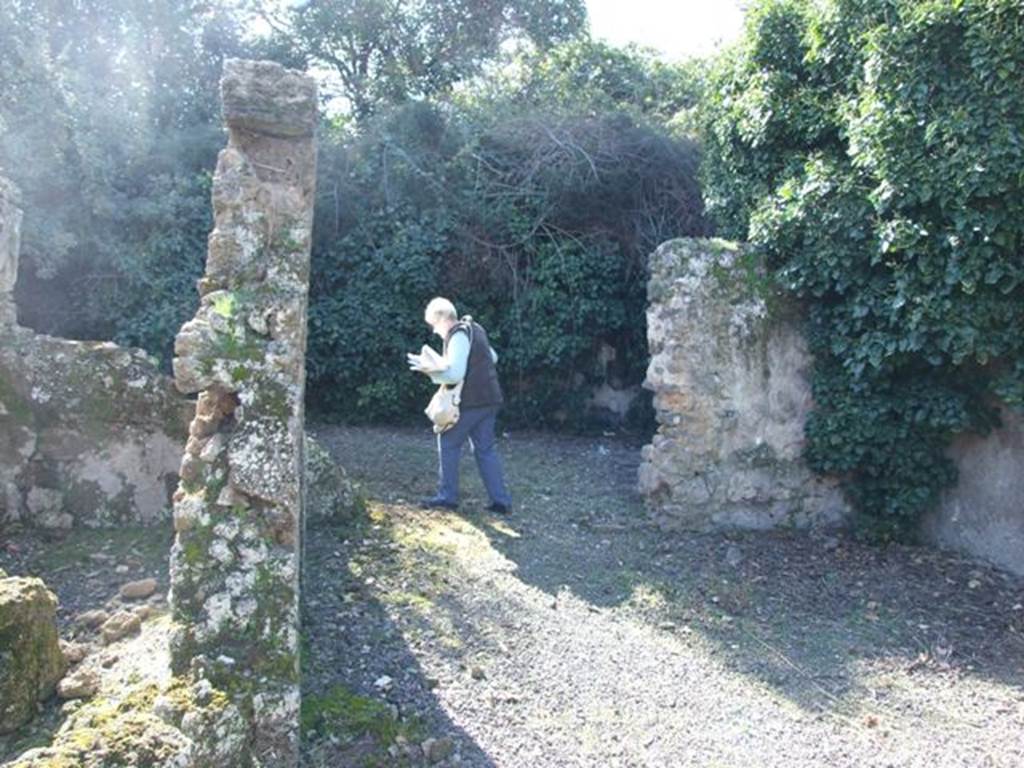 V.3.11 Pompeii. March 2009. Looking west across tablinum to entrance to garden area.
The entire width of the tablinum was opened onto the atrium. The floor was made of opus signinum with a mixture of marble fragments. The painted dado imitated precious marbles with large yellow circles inscribed between squares of different marbles. Above were white panels divided by leafy green stems coloured bronze. In the centre of the north wall was a painting of a plate of fruit. On both sides were two small landscapes, hardly preserved, with figures in yellow. In that on the right, one could see a man getting on his donkey, and another racing behind on foot. On the north side of the west wall was another similar landscape, and a painting of two pheasants, one suspended by a thread that pierced the beak, the other lying down. In the south-west corner was a landscape which contained a cactus plant. In this area, the walls showed traces of redness and partial blackening due to fire. In the south wall, but not decorated, was a niche. Found in this room on the 5th May was a bronze pot, and on 6th May, remains of iron fixings and hinges of bone from a destroyed box.  See Notizie degli Scavi, 1902, (p.371-2)
