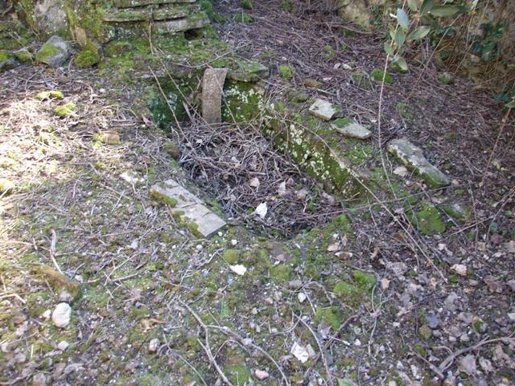 V.3.11 Pompeii. March 2009.  Remains of rectangular pool.