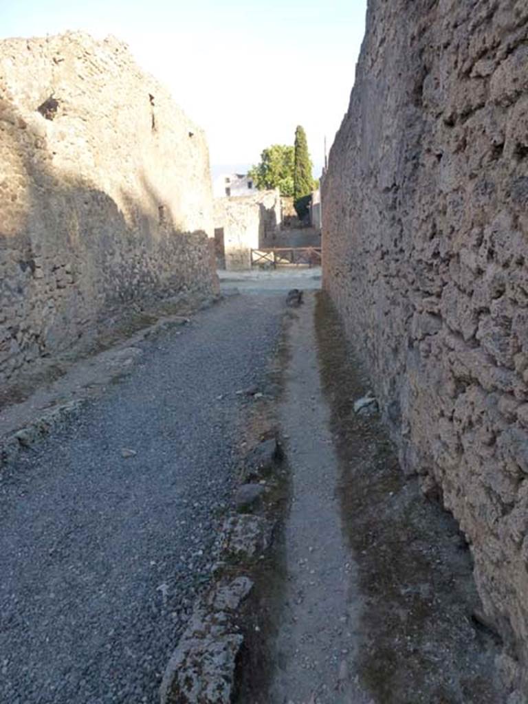 V.4.1 Pompeii, side wall. June 2012. Vicolo di M L Frontone looking south. V.3, on right. 
Photo courtesy of Michael Binns.
